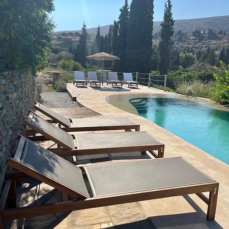 Villa Perivoli In Lemon Orchard Mesaria (Andros) Exterior foto