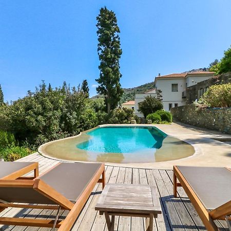 Villa Perivoli In Lemon Orchard Mesaria (Andros) Exterior foto