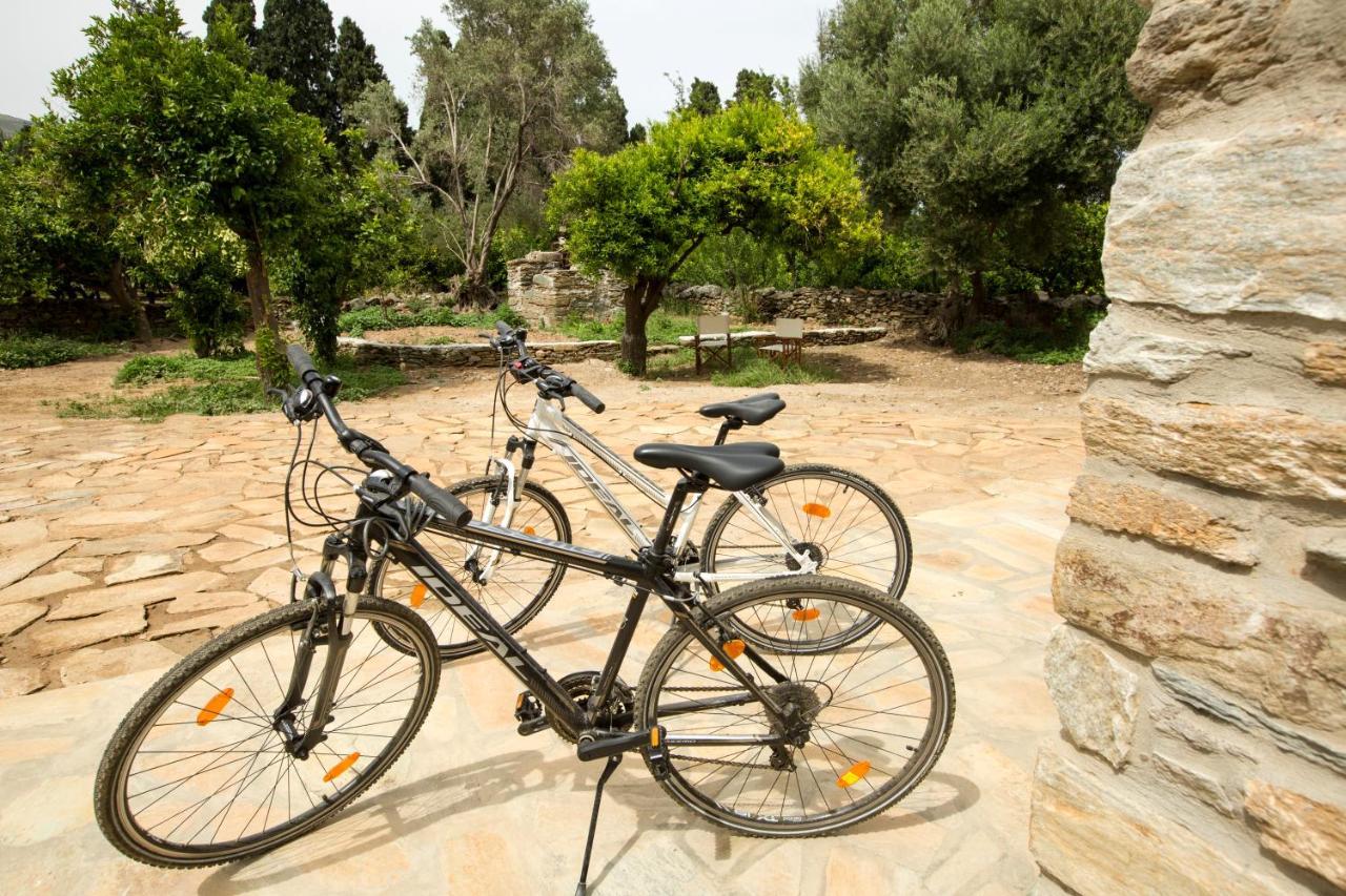 Villa Perivoli In Lemon Orchard Mesaria (Andros) Exterior foto